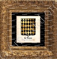 cadre-ancien-or-de FEURS_Bourgogne, Pays de Tournus, Forez._France (2)