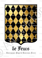 mug-de FEURS_Bourgogne, Pays de Tournus, Forez._France (2)