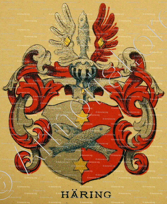 HÄRING_Wappenbuch der Stadt Basel . B.Meyer Knaus 1880_Schweiz