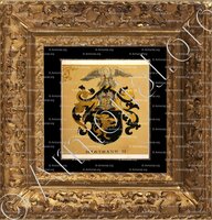 cadre-ancien-or-HARMANN_Wappenbuch der Stadt Basel . B.Meyer Knaus 1880_Schweiz