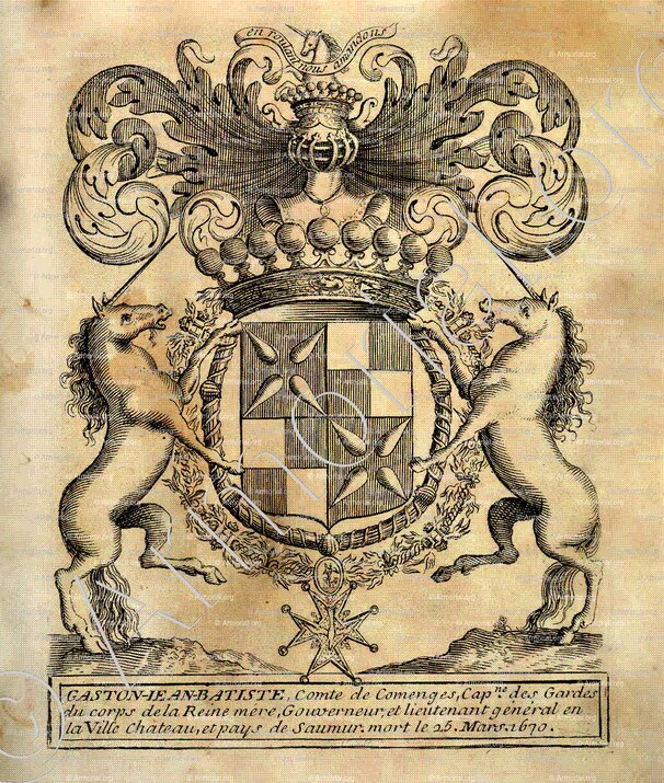 de COMMINGES_Pays de Saumur._France (1) - Copie