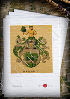 velin-d-Arches-HASLER_Wappenbuch der Stadt Basel . B.Meyer Knaus 1880_Schweiz