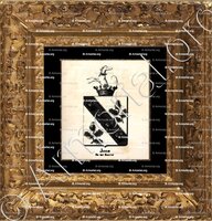 cadre-ancien-or-JOOS DE TER BEERST_Armorial royal des Pays-Bas_Europe