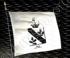 drapeau-JOOS DE TER BEERST_Armorial royal des Pays-Bas_Europe