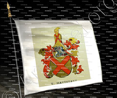 drapeau-HATTSTATT_Wappenbuch der Stadt Basel . B.Meyer Knaus 1880_Schweiz)