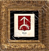 cadre-ancien-or-BLOCH_Radom (Mazowieckie)_Polska