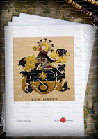 velin-d-Arches-HAUPT_Wappenbuch der Stadt Basel . B.Meyer Knaus 1880_Schweiz