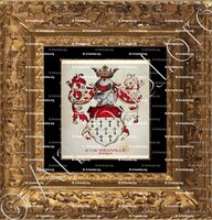 cadre-ancien-or-de La VIEUVILLE_Bretagne (Armorial Daniel Sandoz, 1996)_France (i)