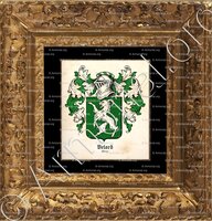 cadre-ancien-or-BELARD_Maine_France (1)