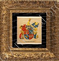 cadre-ancien-or-HAUSCHILD_Wappenbuch der Stadt Basel . B.Meyer Knaus 1880_Schweiz