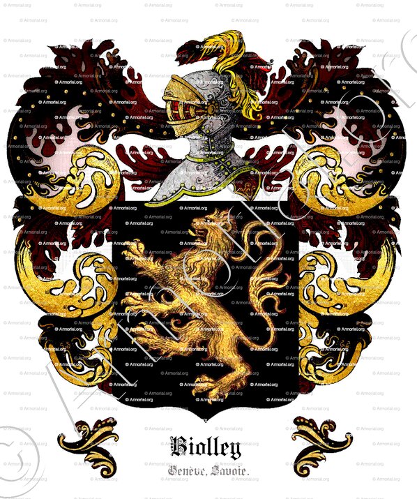 BIOLLEY_Genève, Savoie_Suisse (1)