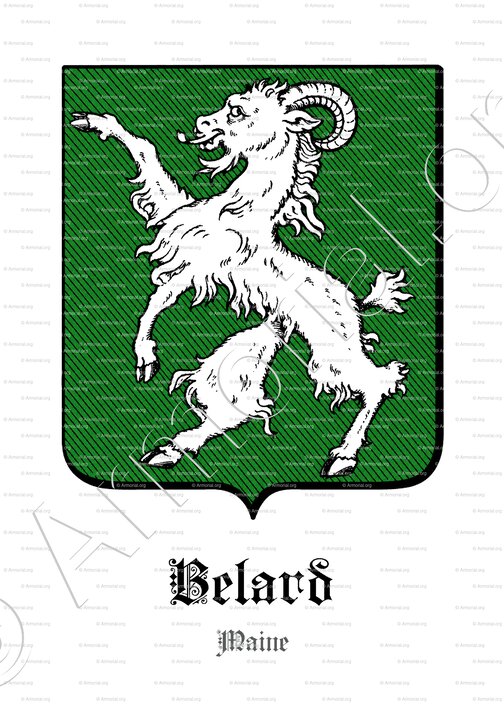 BELARD_Maine_France (2)