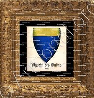 cadre-ancien-or-AGRAIN des HUBAS_Velay_France (i)