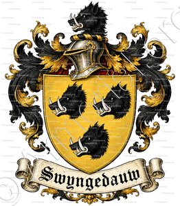 SWYNGEDAUW (Flandre occidentale)