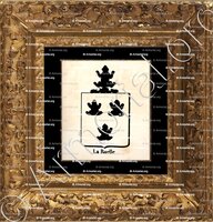 cadre-ancien-or-LA RUELLE_Armorial royal des Pays-Bas_Europe