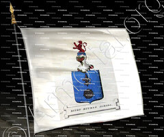 drapeau-RUURT RUURTS ALBADA_Friesland (Stamboek van den Frieschen, 1846)_Nederland