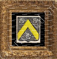 cadre-ancien-or-d'ABOS_Bearn_France (1)