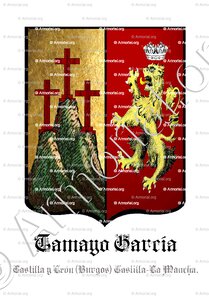TAMAYO GARCÍA
