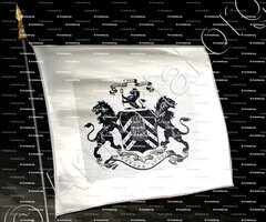 drapeau-BONAPARTE WYSSE_Corse, Irland_France Irland