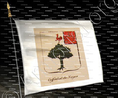 drapeau-COFFINHAL DU NOYER_Noblesse d'Empire._France