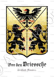 Van den DRIESSCHE