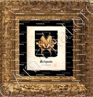 cadre-ancien-or-COTIGNOLA_Emilia-Romagna_Italia (2)