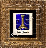 cadre-ancien-or-SAINT-LUPICIN_Jura_France