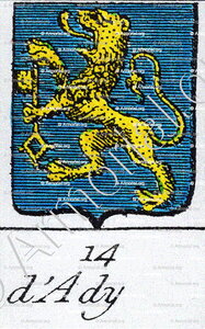 D'ADY