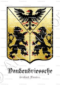 VANDENDRIESSCHE
