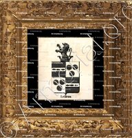 cadre-ancien-or-LE BRUM_Armorial royal des Pays-Bas_Europe