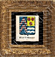 cadre-ancien-or-SCHALL de RIAUCOUR_Saxe_Allemagne