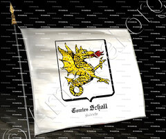 drapeau-Comtes SCHALL_Vienne_Autriche