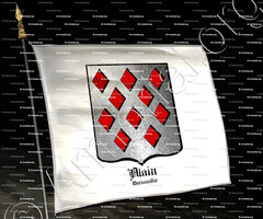 drapeau-ALAIN_Normandie_France (i)