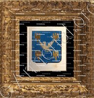 cadre-ancien-or-ALLAIRE DE LA RABLAIS_Armorial de Bretagne .... par A. P. Guerin de La Grasserie, 1845-1848._France