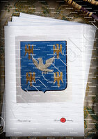 velin-d-Arches-ALLAIRE DE LA RABLAIS_Armorial de Bretagne .... par A. P. Guerin de La Grasserie, 1845-1848._France
