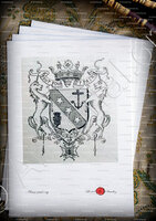 velin-d-Arches-D'AIRE_Marquis de Mailhol, Anoblie 1709._France (1)