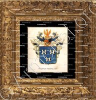 cadre-ancien-or-de SEJOUMET de RAMEIGNIES_Familie veredeld in 1816 door koning Willem I van Nederland _Nederland .