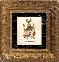 cadre-ancien-or-MANGOLDT (von)_Hessen_Deutschland (1)