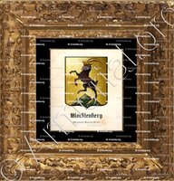 cadre-ancien-or-BOCKLENBERG_Rheinland, Buenos Aires._Deutschland, Argentinien. (2)