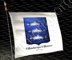 drapeau-d'EMSKERQUE d'ANVERS_Antwerpen_België