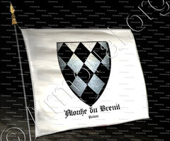 drapeau-ALONHE du BREUIL_Poitou_France (i)