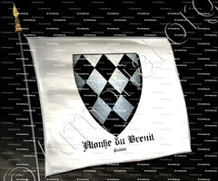 drapeau-ALONHE du BREUIL_Poitou_France (i)