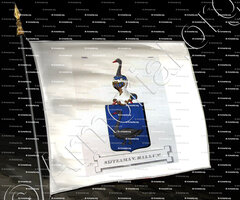 drapeau-SITZAMA van HALLUM_Friesland (Stamboek van den Frieschen, 1846)_Nederland