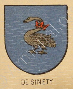 De SINETY