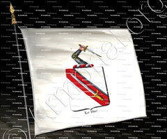 drapeau-LE DUC_Armorial royal des Pays-Bas_Europe