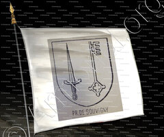 drapeau-de SOUVIGNY_Bourbonnais_France