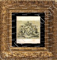 cadre-ancien-or-MEDICI_Stefano Della Bella (Firenze, 1610 - 1664) Cartiglio con stemma dè Medici e due Putti._Italia