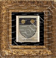 cadre-ancien-or-de TERSAC_Bourbonnais_France