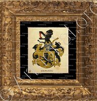 cadre-ancien-or-HERZOG_Wappenbuch der Stadt Basel . B.Meyer Knaus 1880_Schweiz