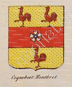 COQUEBERT MONTBRET